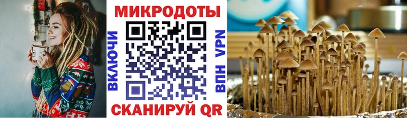 Псилоцибиновые грибы мухоморы Купить Сызрань